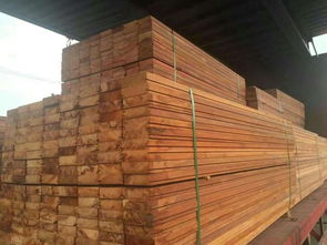 正宗澳洲賈拉木市場(chǎng)價(jià)格解析與建材批發(fā)指南